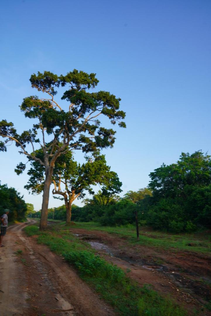 Готель Yala Wild House Екстер'єр фото